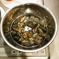 きょんちけ's cooksnap of when they made 簡単♡失敗知らず！基本のあさりの砂抜き.