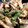 クックPX0BNC☆'s cooksnap of when they made 我が家のいんげんとちくわの胡麻和え＊°.
