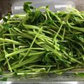 クック56847H☆'s cooksnap of when they made 豆苗ＤＥ麺つゆ常備菜☆.