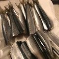 Rieko_ｓ♪♪'s cooksnap of when they made ひと手間で調理は楽♪小イワシの下処理方法.