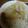 クックLJ2W4Q☆'s cooksnap of when they made さつま芋の舞茸の炊き込みご飯☆.