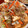 クックM9Z69A☆'s cooksnap of when they made 厚揚げとひき肉のみそいため.