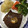 漬物大使's cooksnap of when they made お肉屋さんが教えてくれたステーキの焼き方.