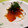 はらぺことりっぷ's cooksnap of when they made 長芋とイクラでお通し風に☆.