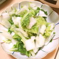 ステルトミチル's cooksnap of when they made 簡単我が家の白菜の浅漬け.
