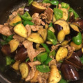 しましまめぐ's cooksnap of when they made 茄子とひき肉とピーマンの甘辛炒め.