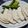 えびよし's cooksnap of when they made 大人気！簡単！ヨーグルトサラダチキン.