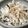yummy?'s cooksnap of when they made かぶの塩昆布＆柚子和え.