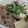 PERA☆☆☆'s cooksnap of when they made 豆腐と豚肉のみ…とっても簡単『肉どうふ』.