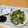 ♪ヒロ's cooksnap of when they made たれで絶品♪ 椎茸の牛肉巻き.