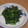 きらり流れ星's cooksnap of when they made ほうれん草の塩胡椒炒め.