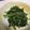 ウィンナ's cooksnap of when they made ほうれん草レンチンして胡麻和え。.