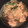 ERI110's cooksnap of when they made 鍋で10分！鶏もも肉のみぞれ煮.