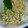 ayappyone's cooksnap of when they made 超簡単もやしとツナの和え物.
