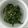 ヒヨコマメ☆'s cooksnap of when they made 濃厚☆ほうれん草のピーナッツ和え.