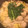 ケラックマ's cooksnap of when they made 塩ちゃんこ鍋のスープとつくねの作り方.
