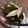 roomシホ☆'s cooksnap of when they made ほっとする旨煮＾＾椎茸と昆布の梅煮.