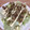 ポメちょん's cooksnap of when they made レタスの和風？サラダ.