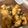 ∞ちぷ子∞'s cooksnap of when they made 鶏もも肉黒ごま味噌和え♪簡単照り焼き.