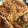 ごくま's cooksnap of when they made おきのじょう(ヒメジ)の唐揚げ♪.