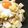 yukky☆mama's cooksnap of when they made ＊キャベツと筍の卵おとし＊.