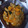 クックDTU02G☆'s cooksnap of when they made 簡単☆かぼちゃと豚コマのオイスター炒め.