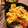 クック0WO9OY☆'s cooksnap of when they made 簡単！卵とトマトでたまトマ丼！.