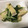 ｙａ－ｙａ－'s cooksnap of when they made サッと一品！みず菜の煮びたし.