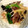 まゆげむし's cooksnap of when they made 牛肉とセロリの塩炒め.