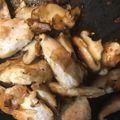ぱんぎん☆'s cooksnap of when they made 鶏肉と長ねぎ椎茸のクレソル炒め.