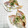 ミニcooking's cooksnap of when they made ちこ鯛の蒸し焼き.