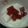 ゆきあゆ's cooksnap of when they made すいかの風変わり*コンポート♪.