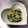 K0A9O0R8U♪'s cooksnap of when they made 水菜とえのきとベーコンの柚胡椒炒め.