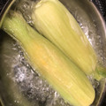 Qookoocoo's cooksnap of when they made 安いとうもろこしを甘くするゆで方！？.