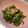 クックJMXHYH☆'s cooksnap of when they made ピーマンと塩昆布のレンチン.