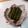 cocoりえ's cooksnap of when they made 生姜入り【いんげんの醤油煮】.