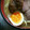 しまむら君。's cooksnap of when they made 失敗ナシ!!の簡単半熟卵.
