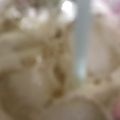 ma___111's cooksnap of when they made ビアカクテル〜梅酒のビール割り〜.