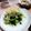 ＴＯＭＯＷＡＴ's cooksnap of when they made わさび香る♪三つ葉の簡単お浸し♪.