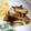 ＴＯＭＯＷＡＴ's cooksnap of when they made ◎きのことジャガイモバター炒め.