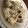 きのこ♬'s cooksnap of when they made きのことベーコンの炊き込みピラフ.