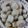 M3doors111's cooksnap of when they made 里芋の煮物☆.