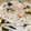 ヴェーラ's cooksnap of when they made 【超時短】一味違う！釜玉うどん.