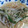 まゆゆんのママ's cooksnap of when they made 簡単‼モヤシとネギと水菜の炒めもの.