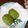 クックHG9V8Y☆'s cooksnap of when they made 緑のおはぎ♪ずんだもち.