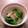 クック0N90DR☆'s cooksnap of when they made お茶漬けの素で　簡単　白菜のナムル.