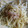 めいぷるhoney's cooksnap of when they made 超簡単もやし焼きそば.