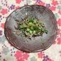 ぽぽきゅ's cooksnap of when they made ごはんのお供に！ねぎじゃこ.