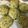 クック9P6O5D☆'s cooksnap of when they made お茶酵母で甘納豆パン.