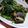 クックXNTN6O☆'s cooksnap of when they made 簡単！アサリほうれん草のガリバタソテー！.